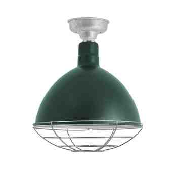 16" Wilcox LED, 300-Dark Green, Wire Cage, 975-Galvanized, Mounting in 975-Galvanized